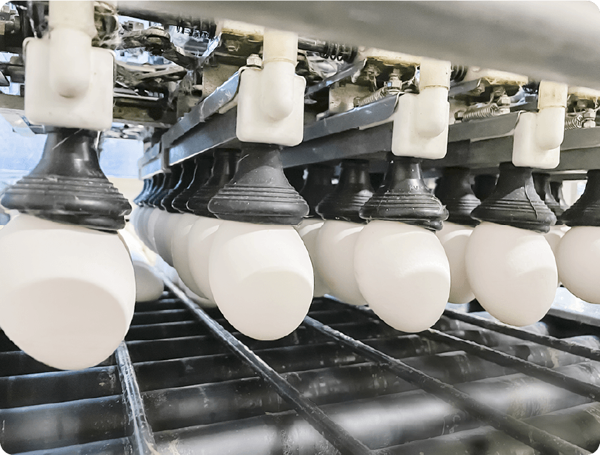 画像：フルオート洗卵選別包装システム
